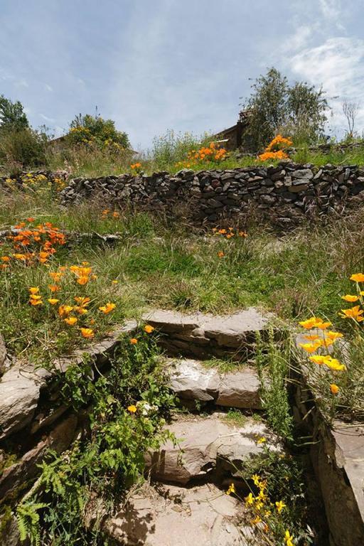 Posada Santa Barbara Chucuito Dış mekan fotoğraf